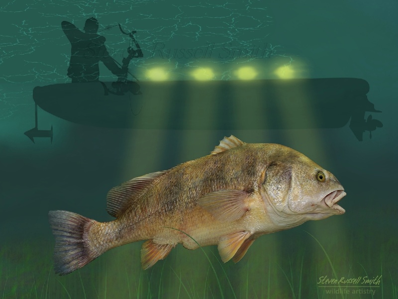 Ohio Bowfishing Record Freshwater Drum