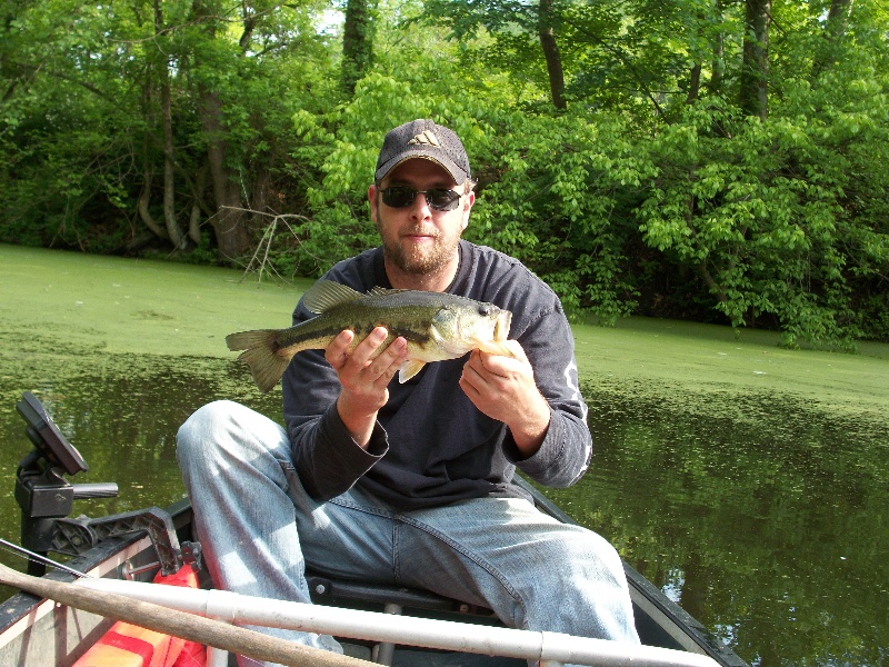 bass near Belpre