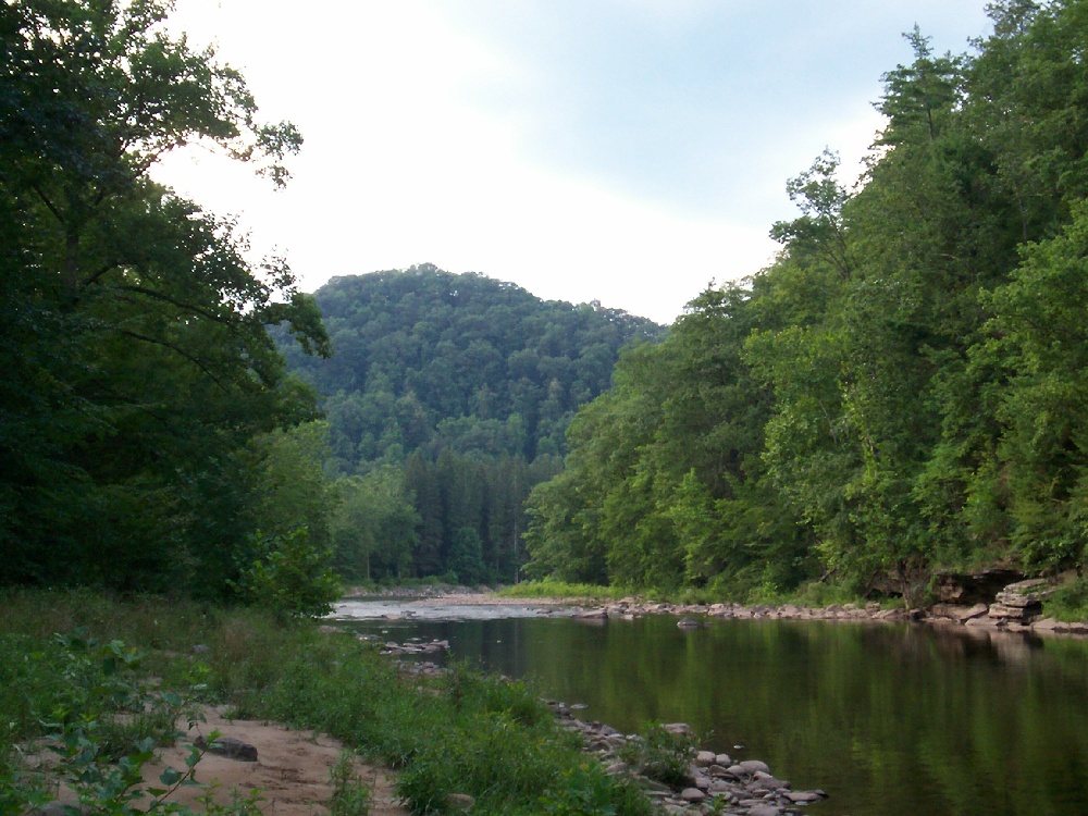 Shavers Fork