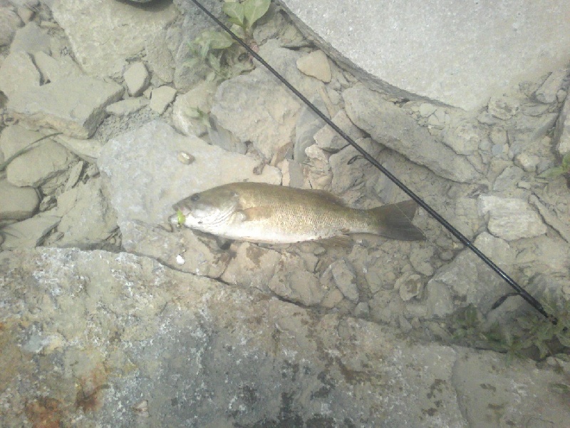 Banklick at Park near Cincinnati