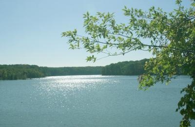 Alum Creek Lake